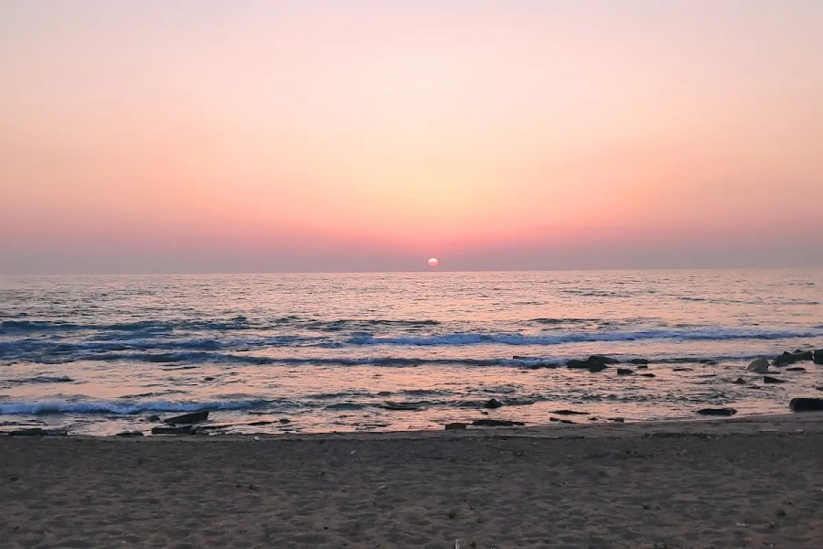 חוף הדקל photo 1
