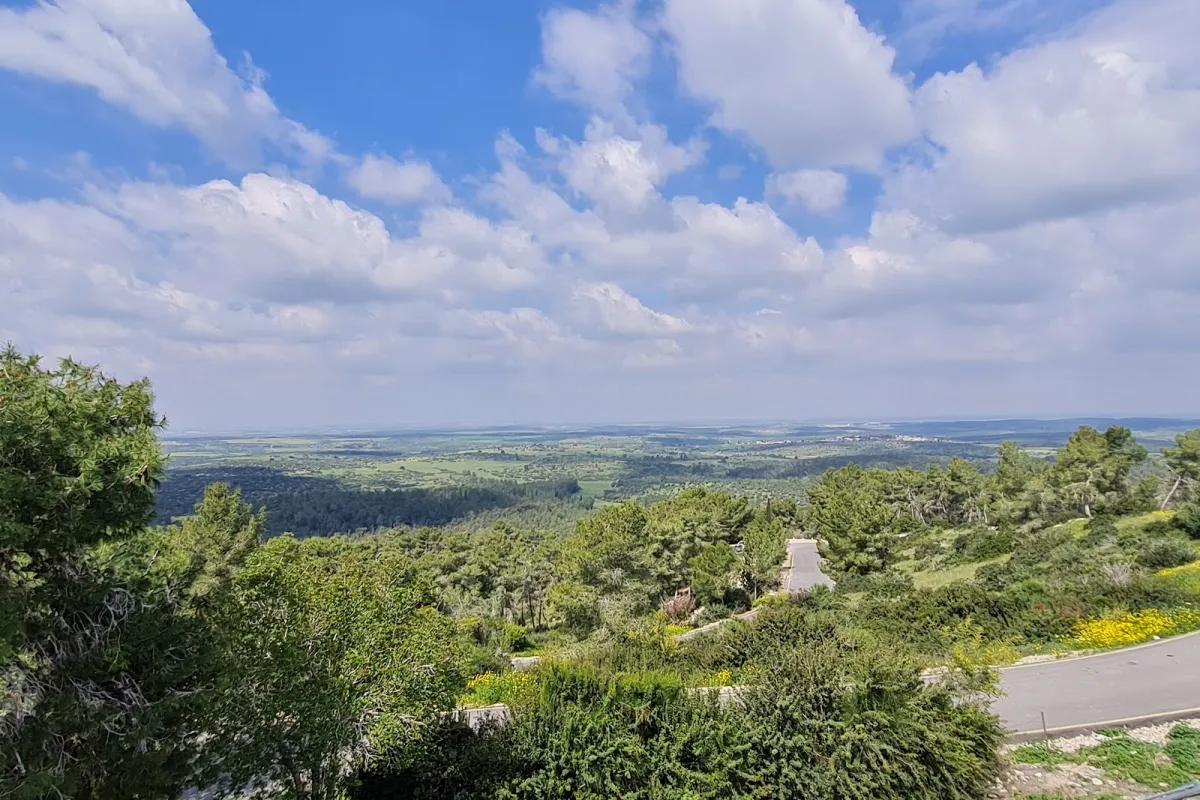 מצפה משואה photo 1