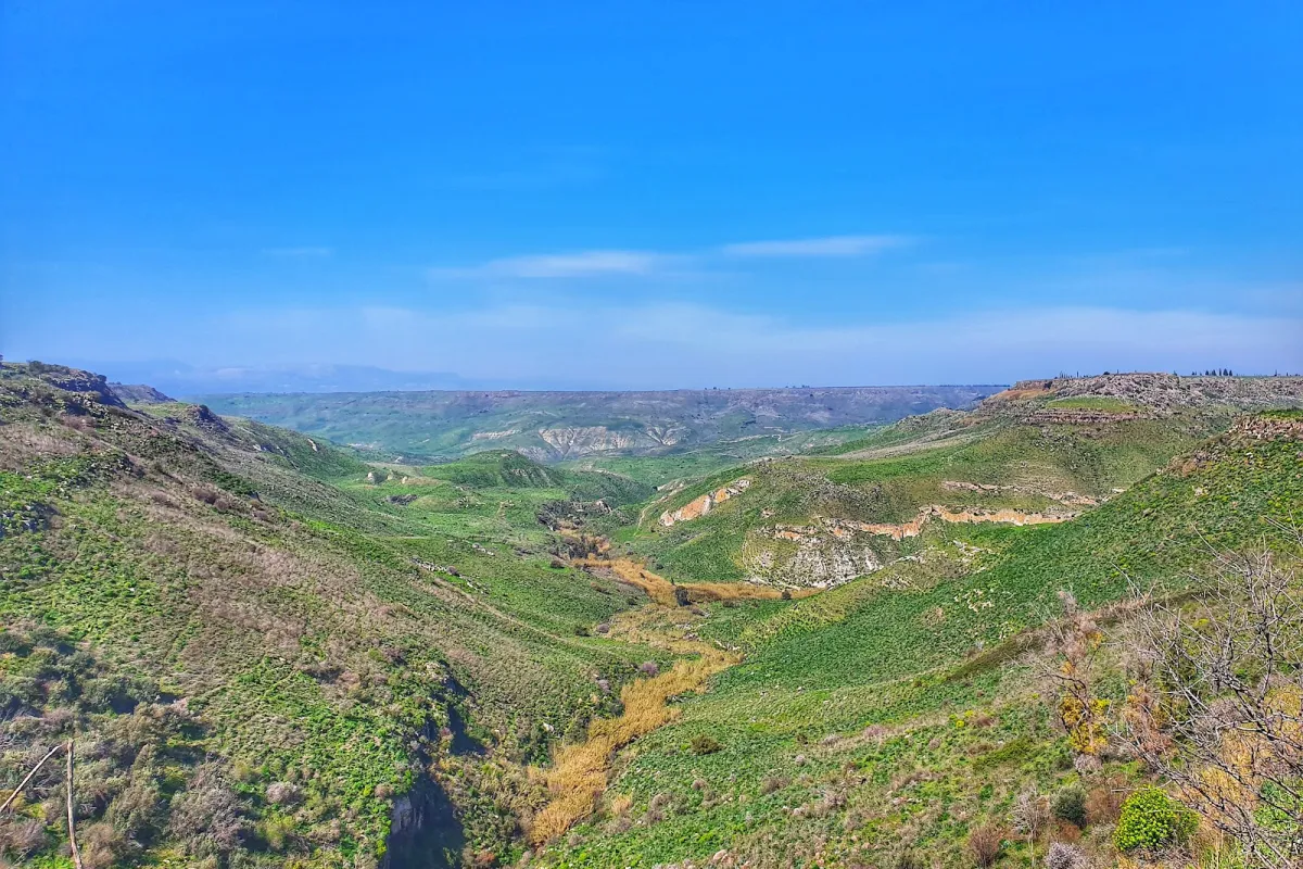 El-Al Nature Reserve photo 1