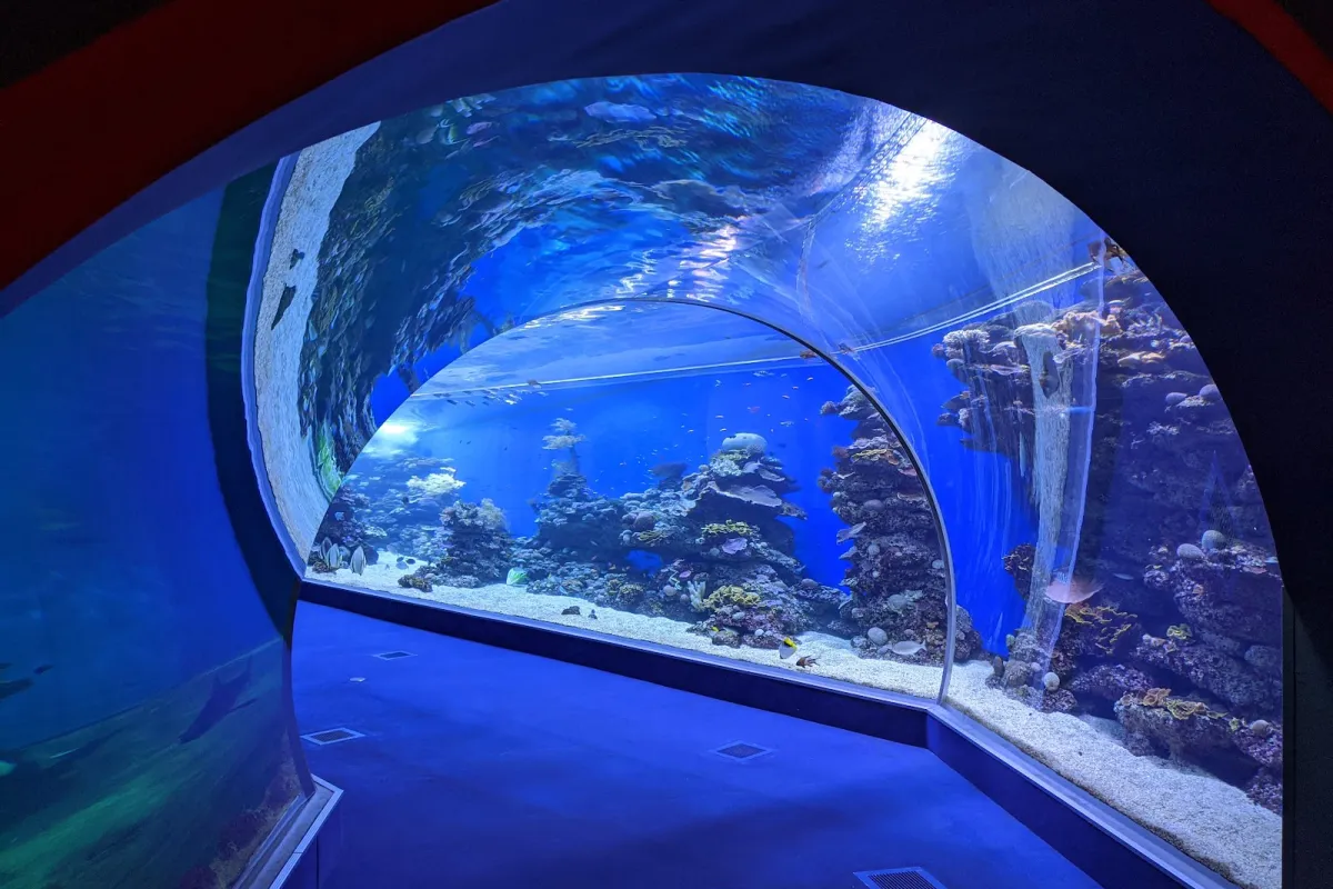 Underwater Observatory Park photo 1