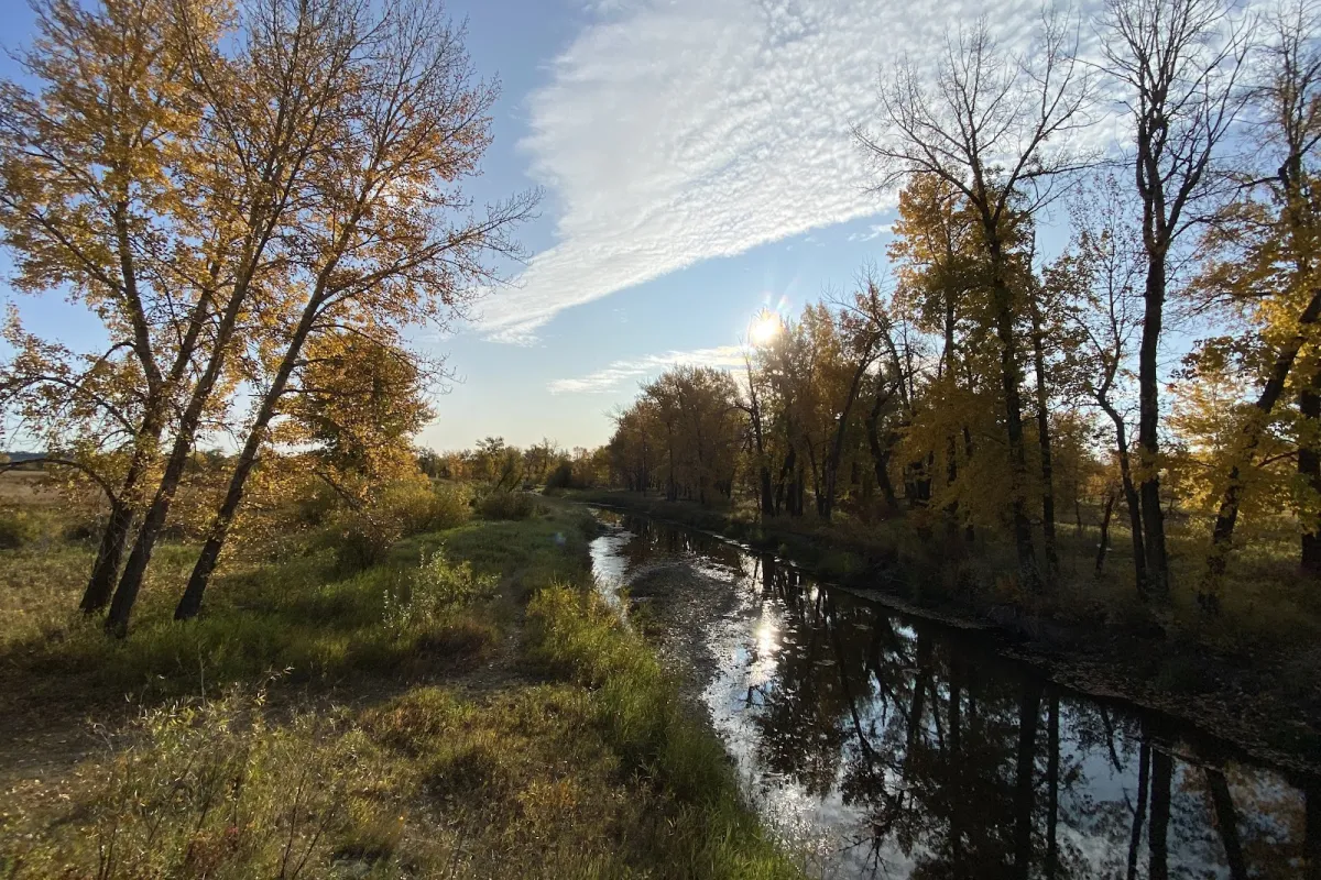 Hull's Wood - Fish Creek Provincial Park photo 1