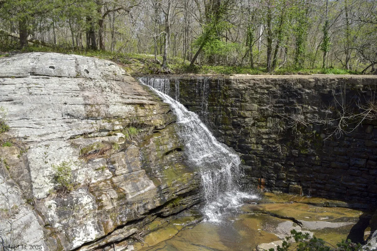 Dixon Springs State Park photo 1