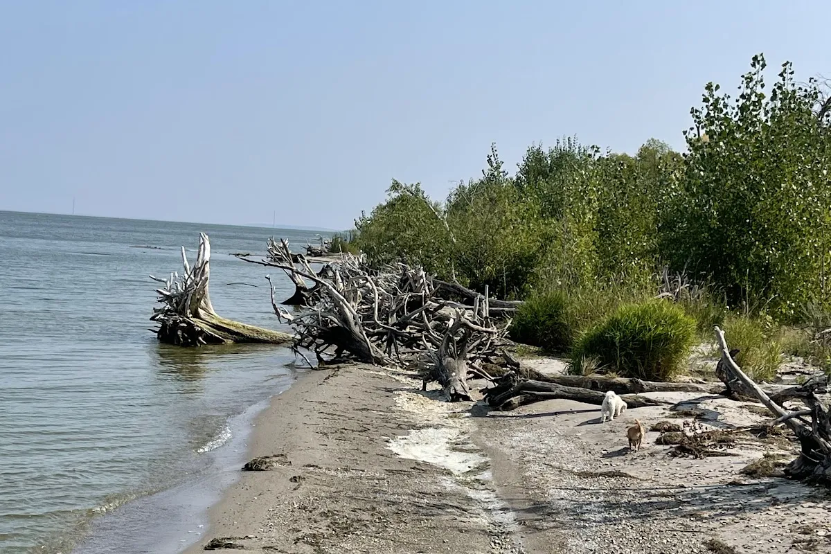 Grahams Island State Park photo 1