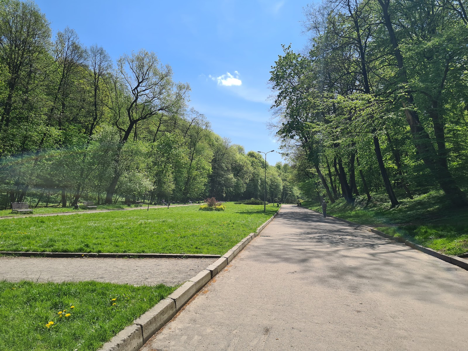 Park Pohulyanka photo 9