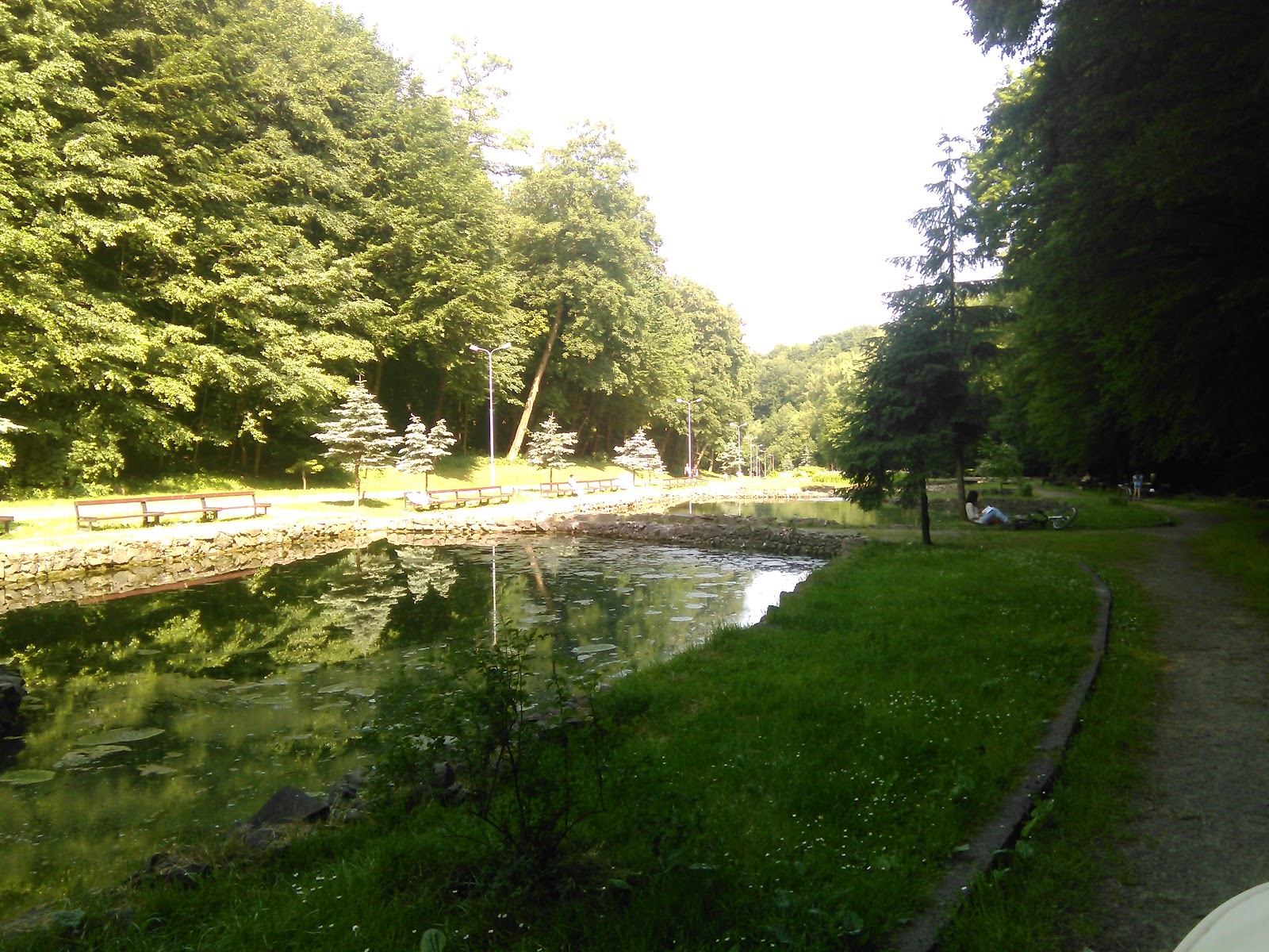 Park Pohulyanka photo 7
