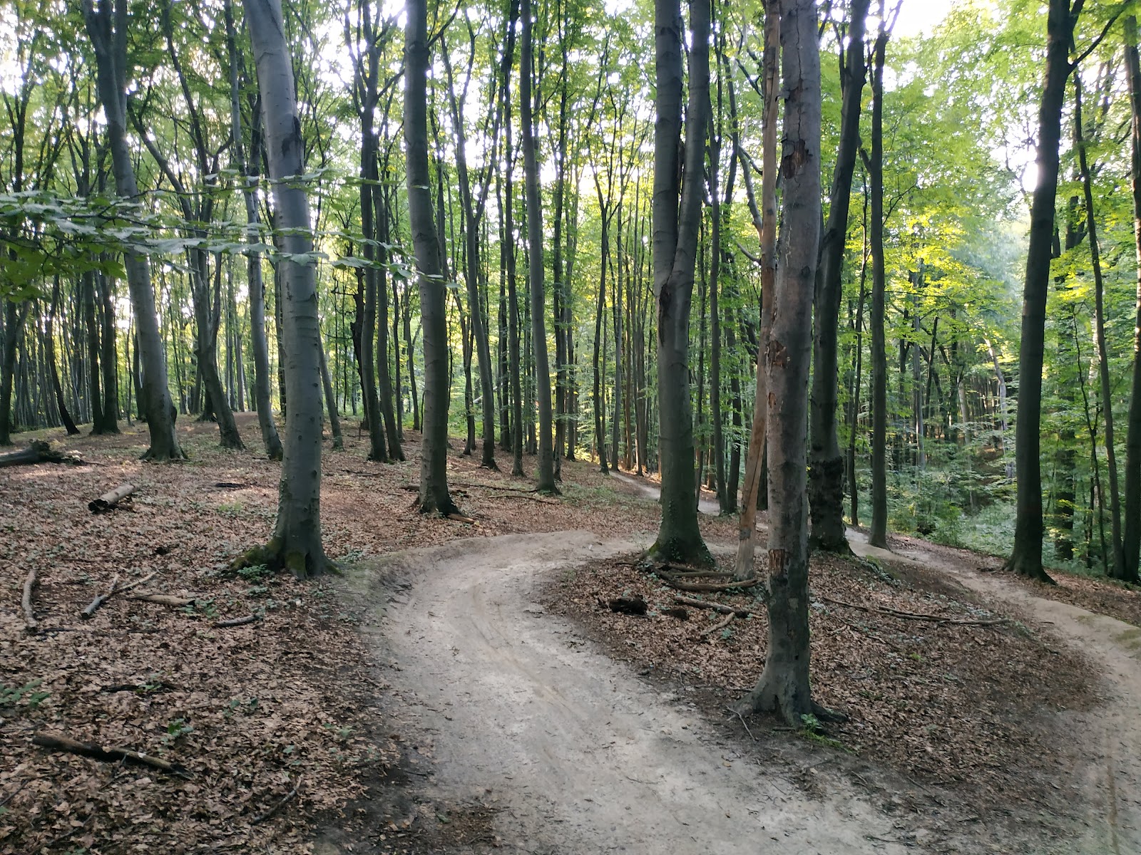 Park Pohulyanka photo 2