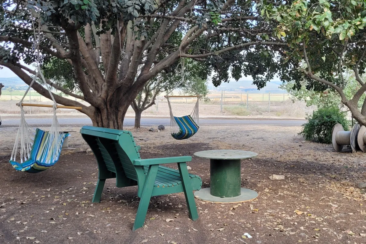 הצריף "בית של קפה" photo 1