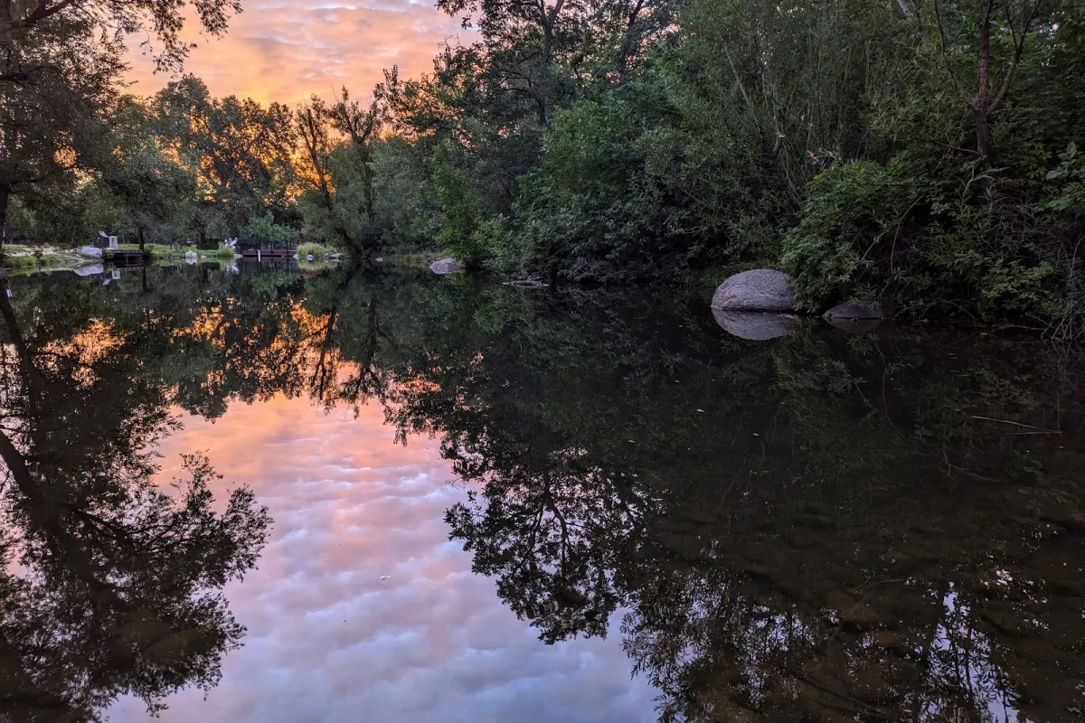 Evert Pierson Kids' Fishing Pond photo 1