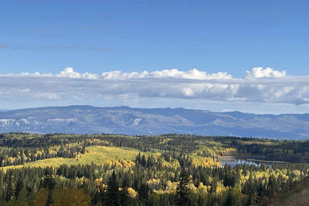 Grand Mesa Scenic Byway photo 1
