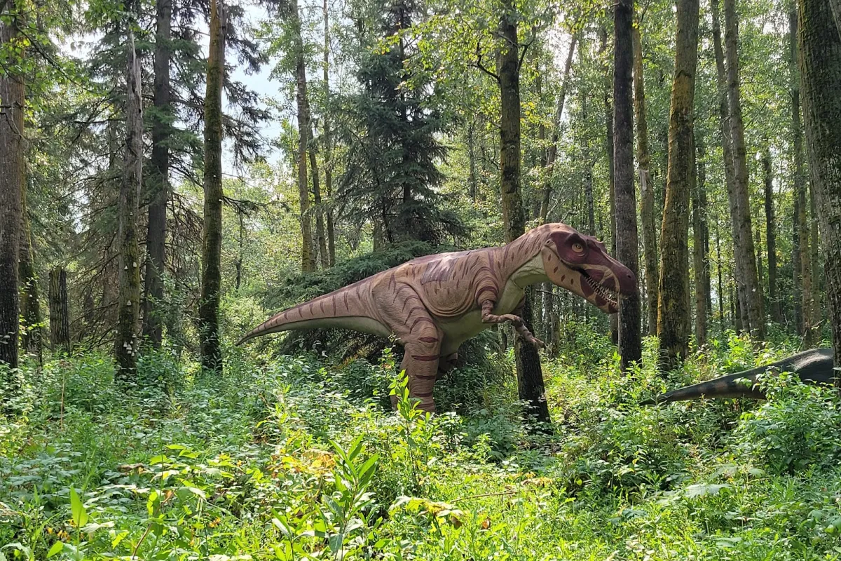 Jurassic Forest photo 1