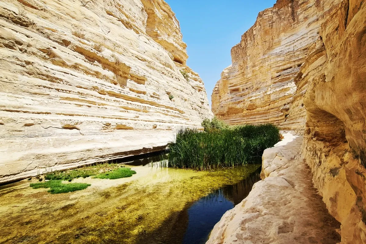 Ein Avdat National Park photo 1