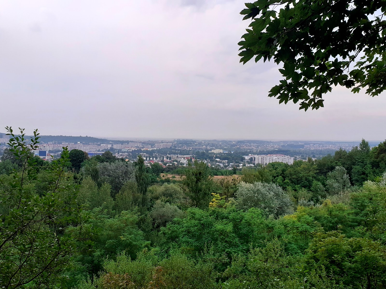 Shevchenkivskyi Hai Park Museum photo 7