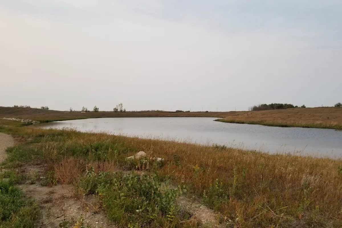 Northeast Swale photo 1