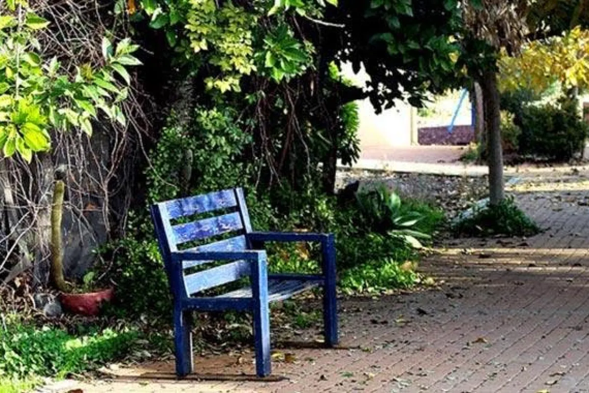כפר אמנים אניעם photo 1