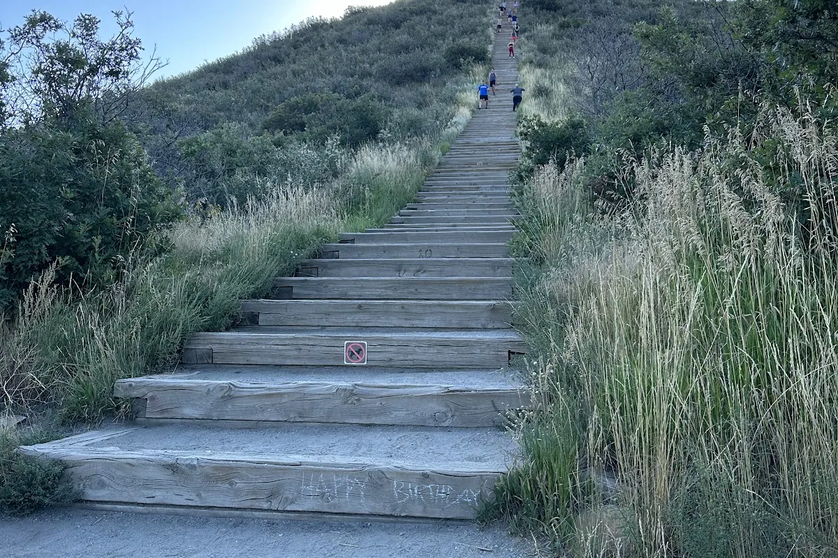 Challenge Hill and Trails at Philip S. Miller Park photo 1