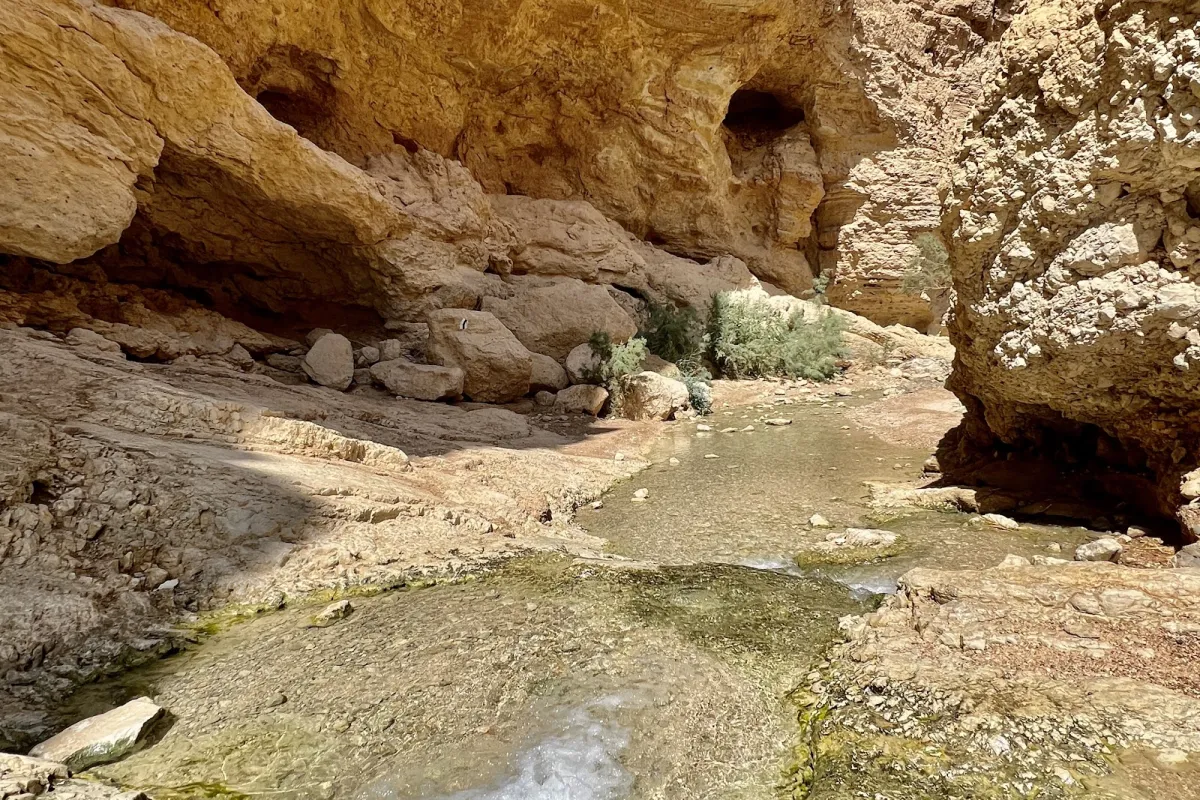 Wadi Bokek photo 1