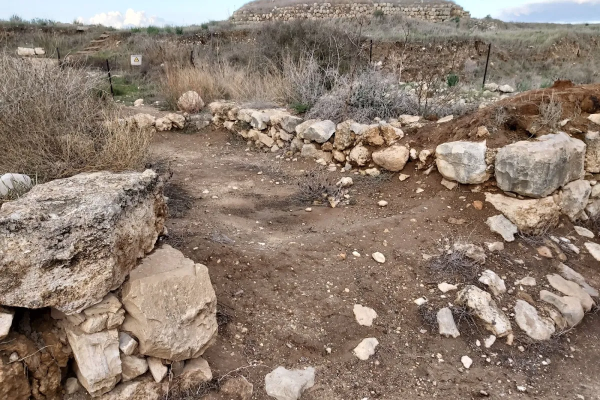 Tel Lachish photo 1