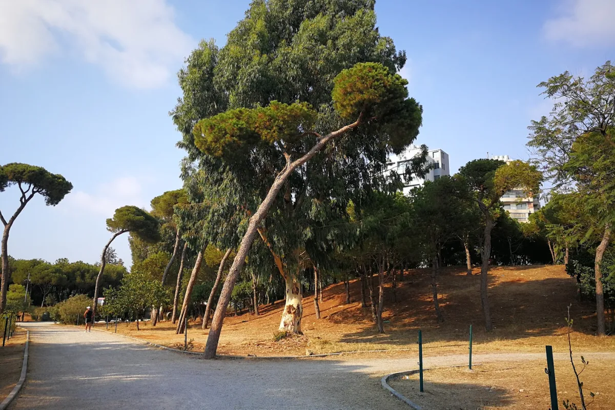 Horsh Beirut photo 1