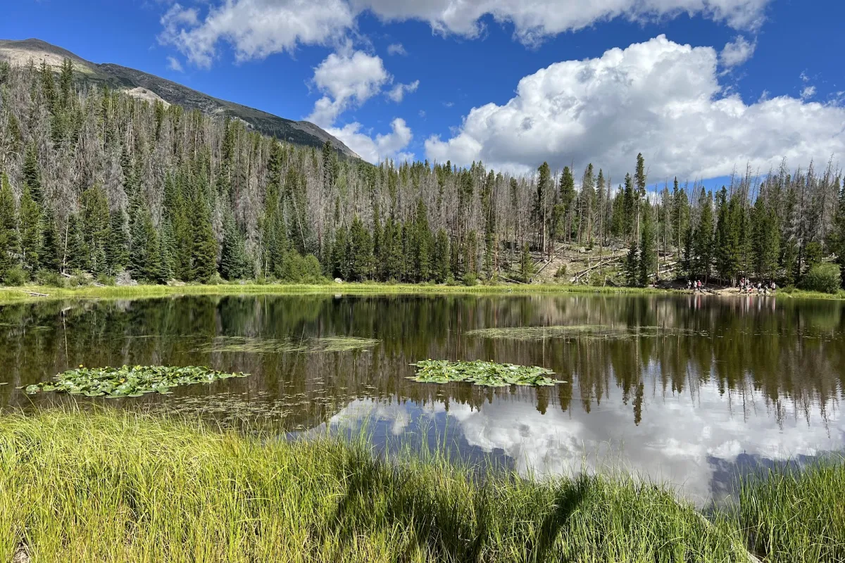 Lily Pad Lake photo 1