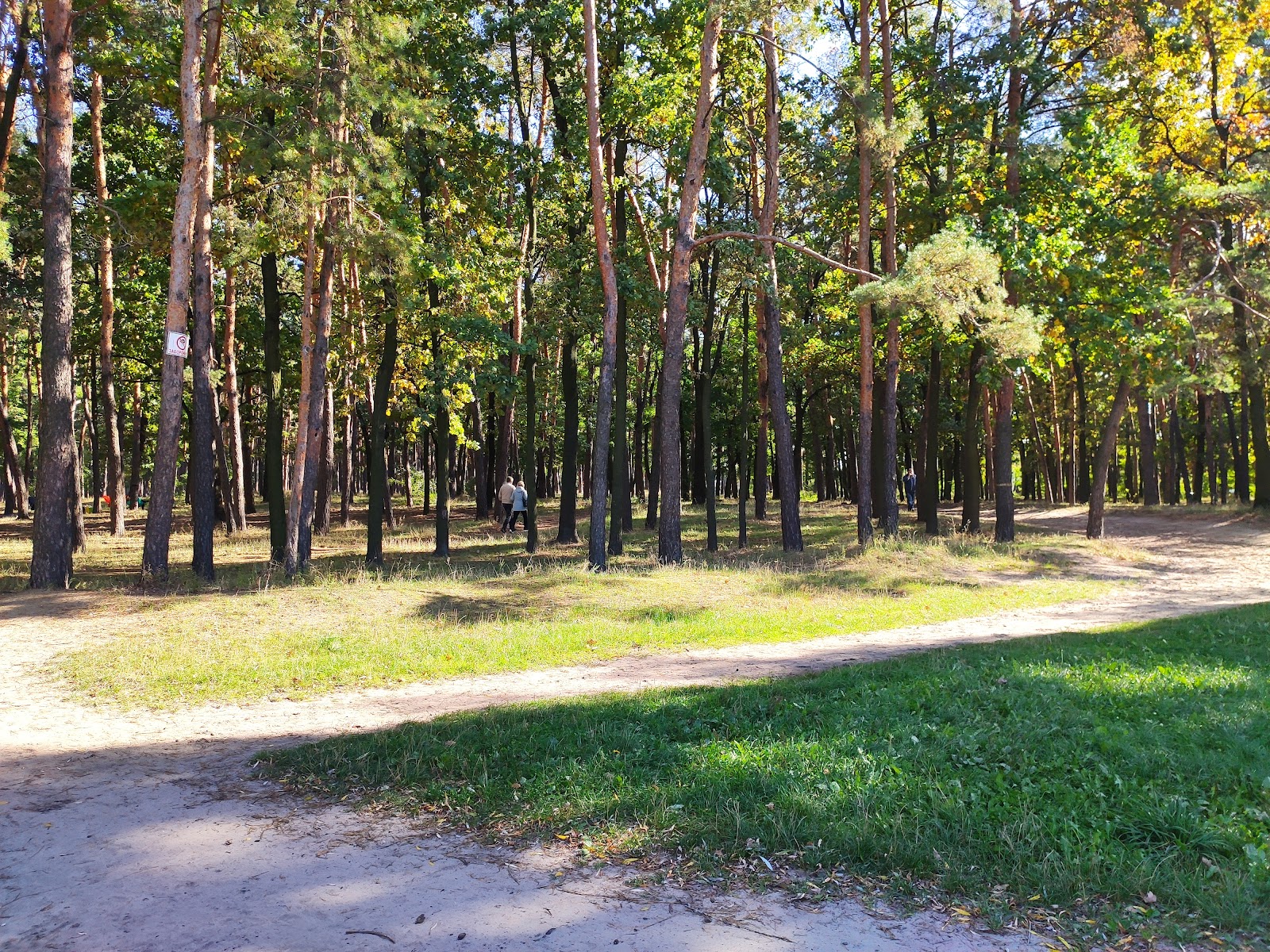 Park Of Partisan Glory photo 2