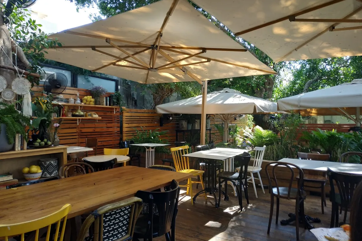 Ziona Cafe photo 1