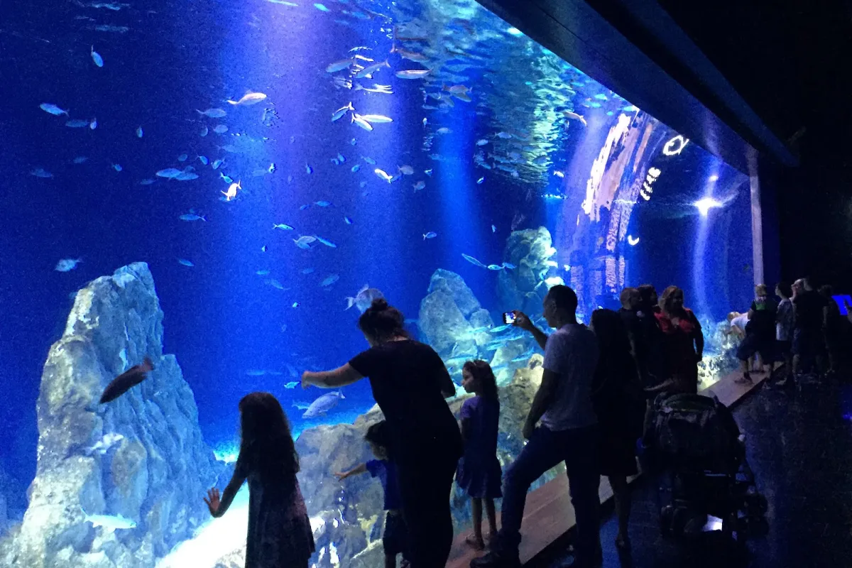 Israel Aquarium photo 1