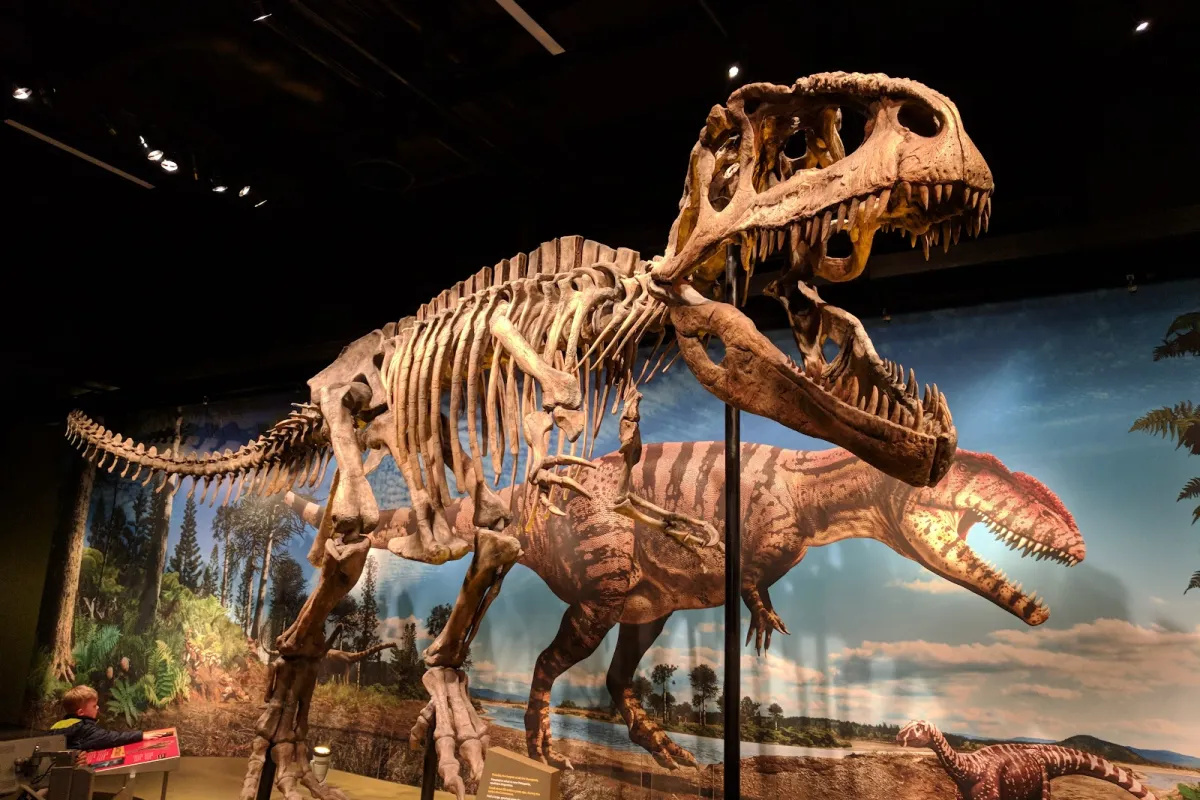 Denver Museum of Nature & Science photo 1