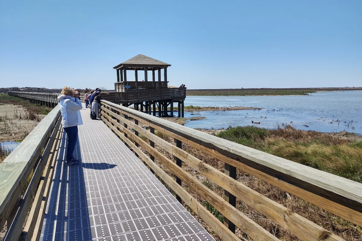 Leonabelle Turnbull Birding Center photo 1
