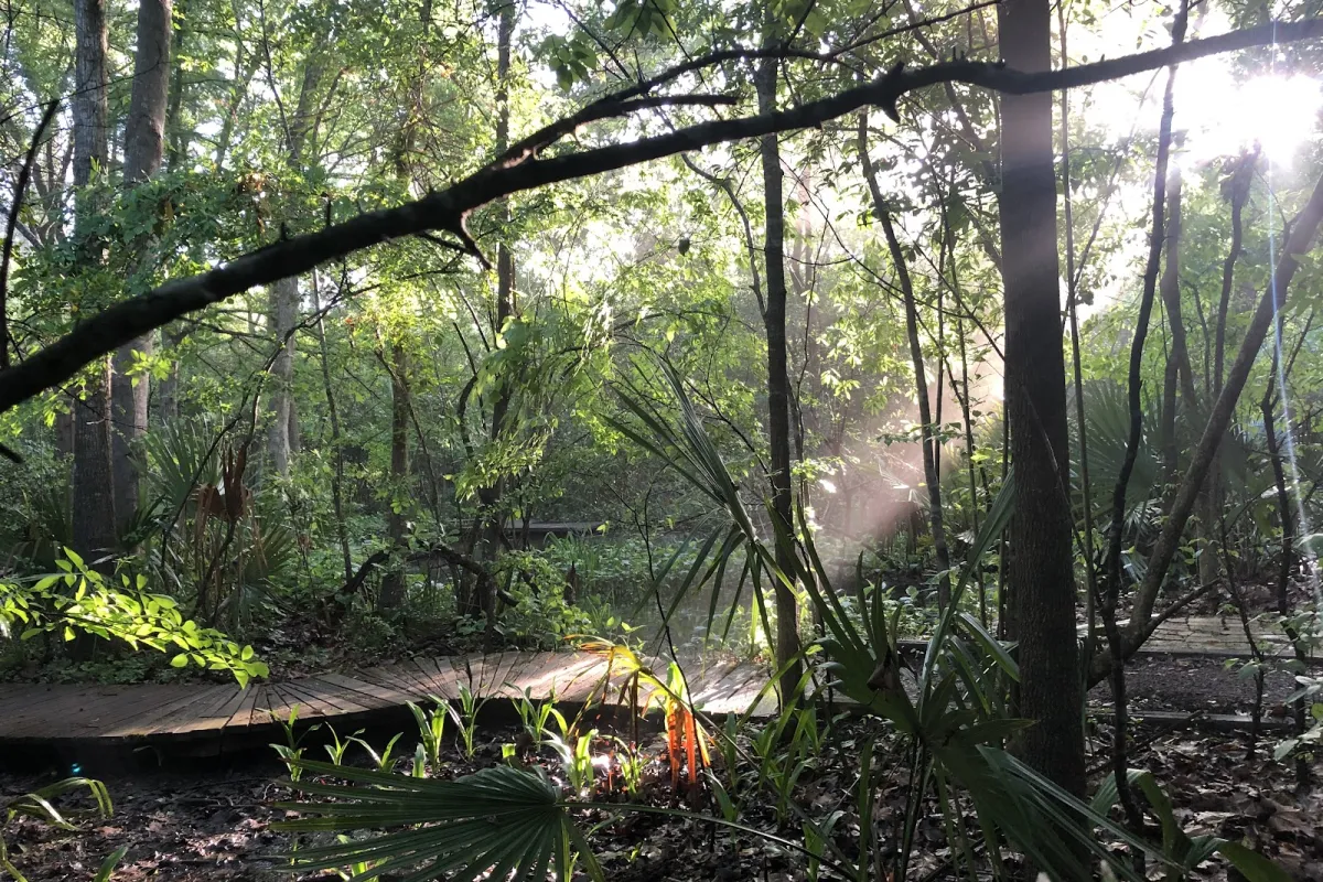 Edith L Moore Nature Sanctuary photo 1