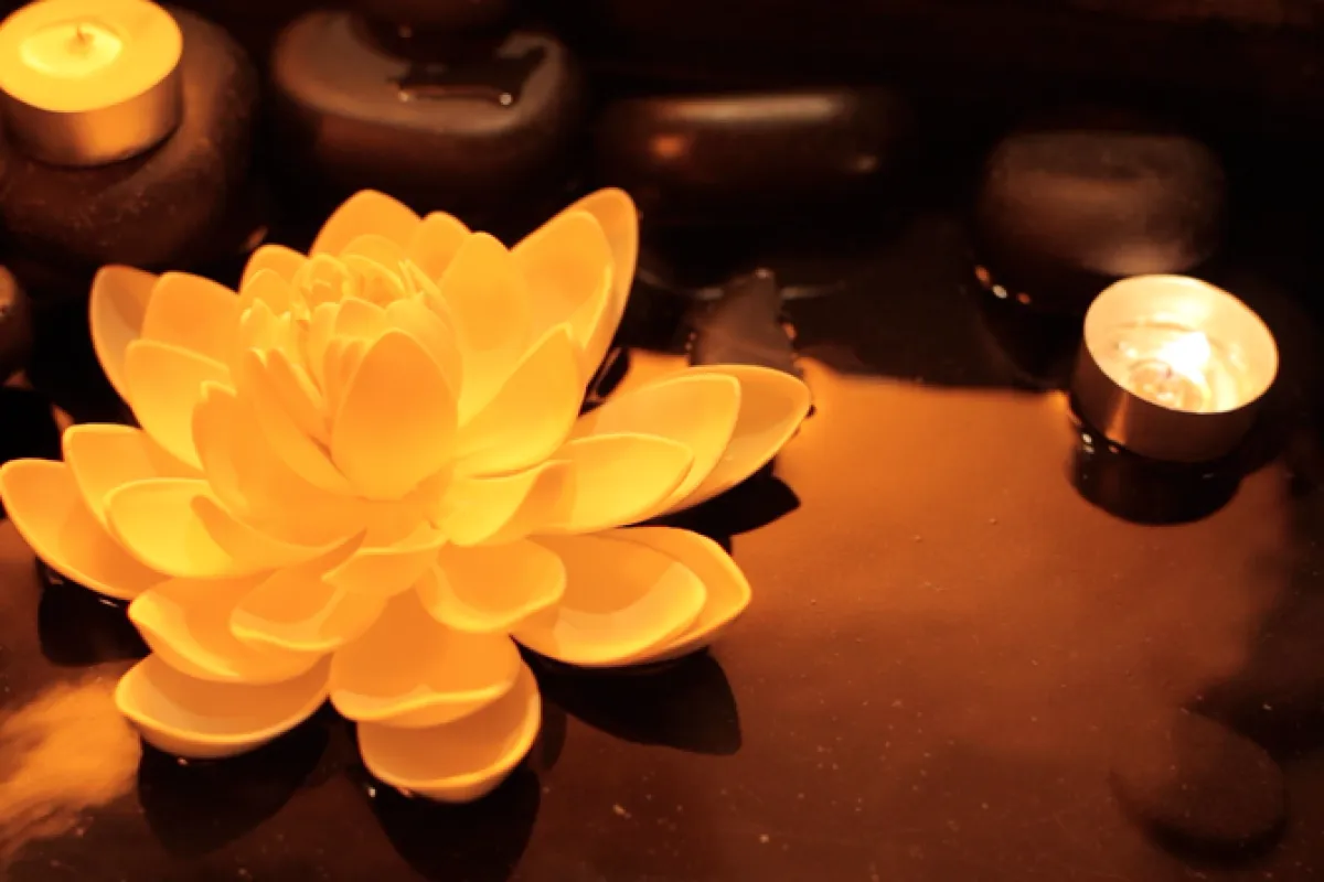 Gaia's Cocoon 7 Star Spa and Beauty Lounge photo 1