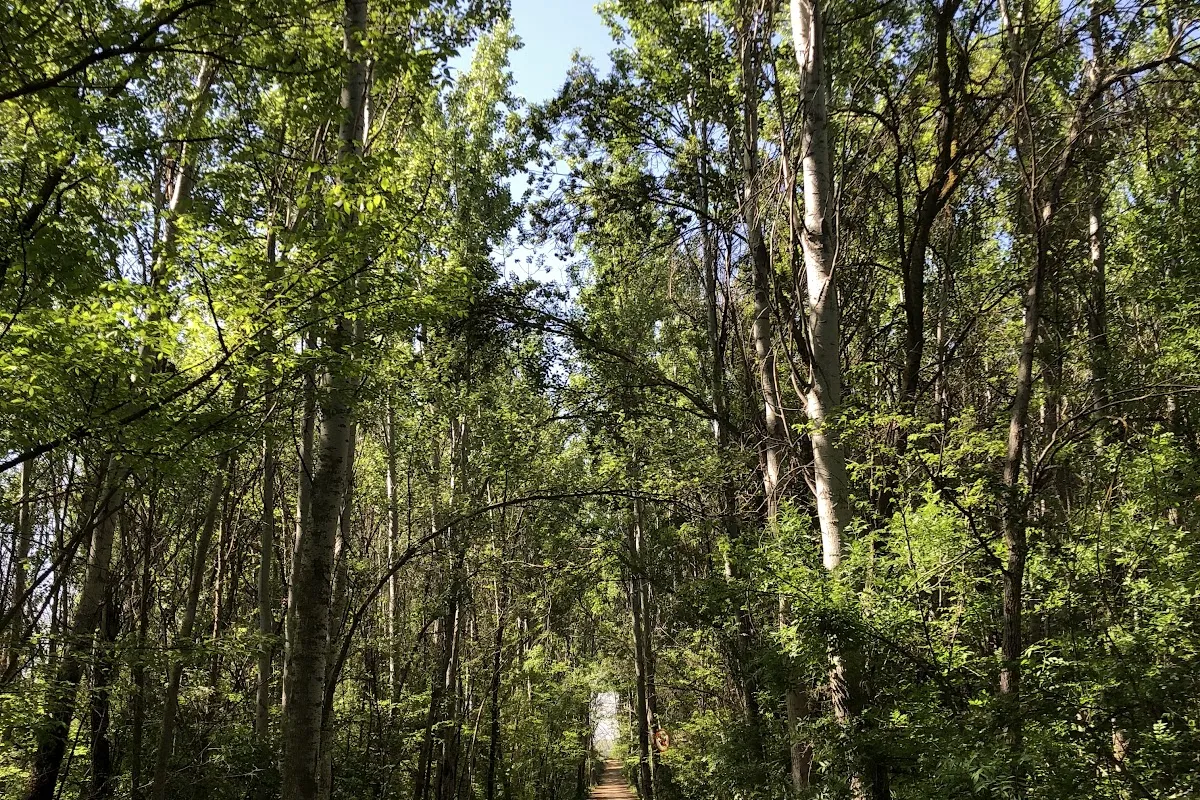 Taanayel Park photo 1