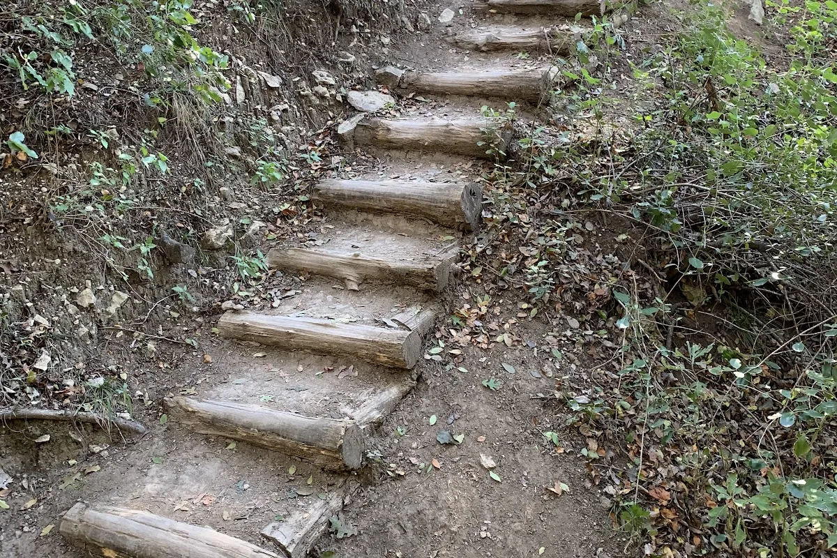 River Place Nature Trail photo 1
