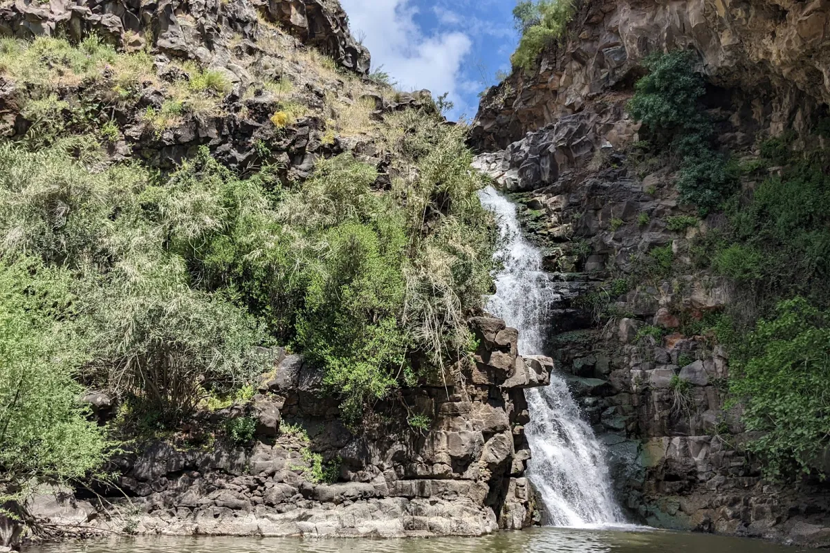 Yehudia Forest Reserve - Camping photo 1