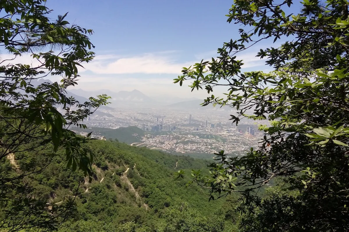 Mesa del Epazote photo 1
