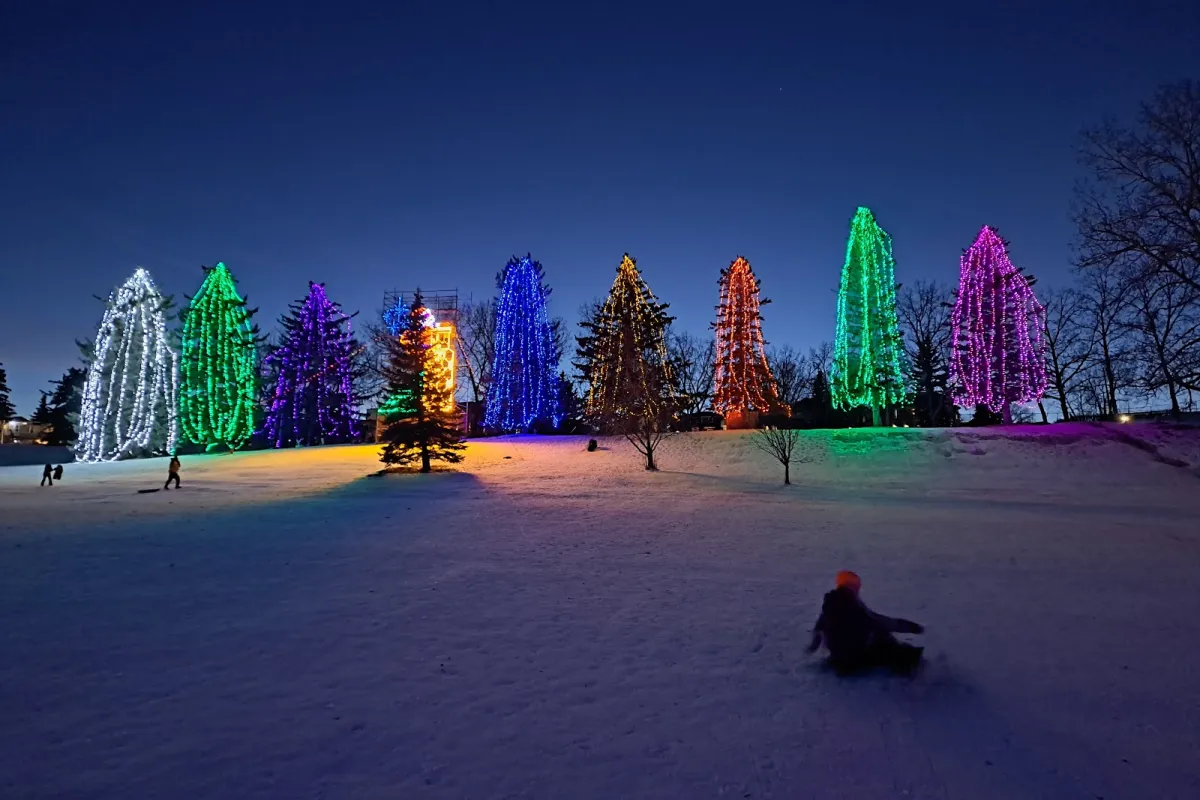 Lions' Festival of Lights photo 1