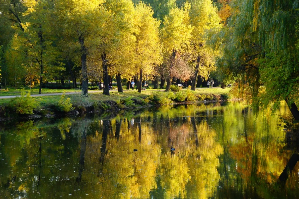 Dubovyy Hay photo 1