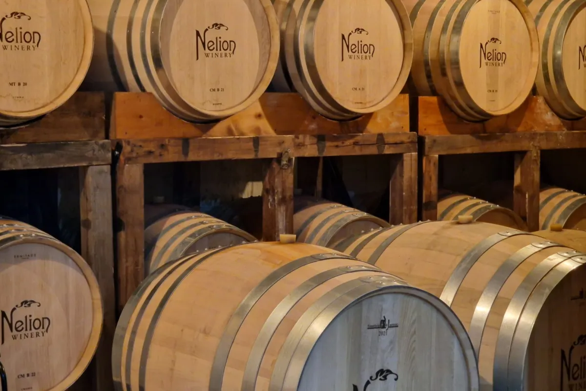 Nelion Winery photo 1