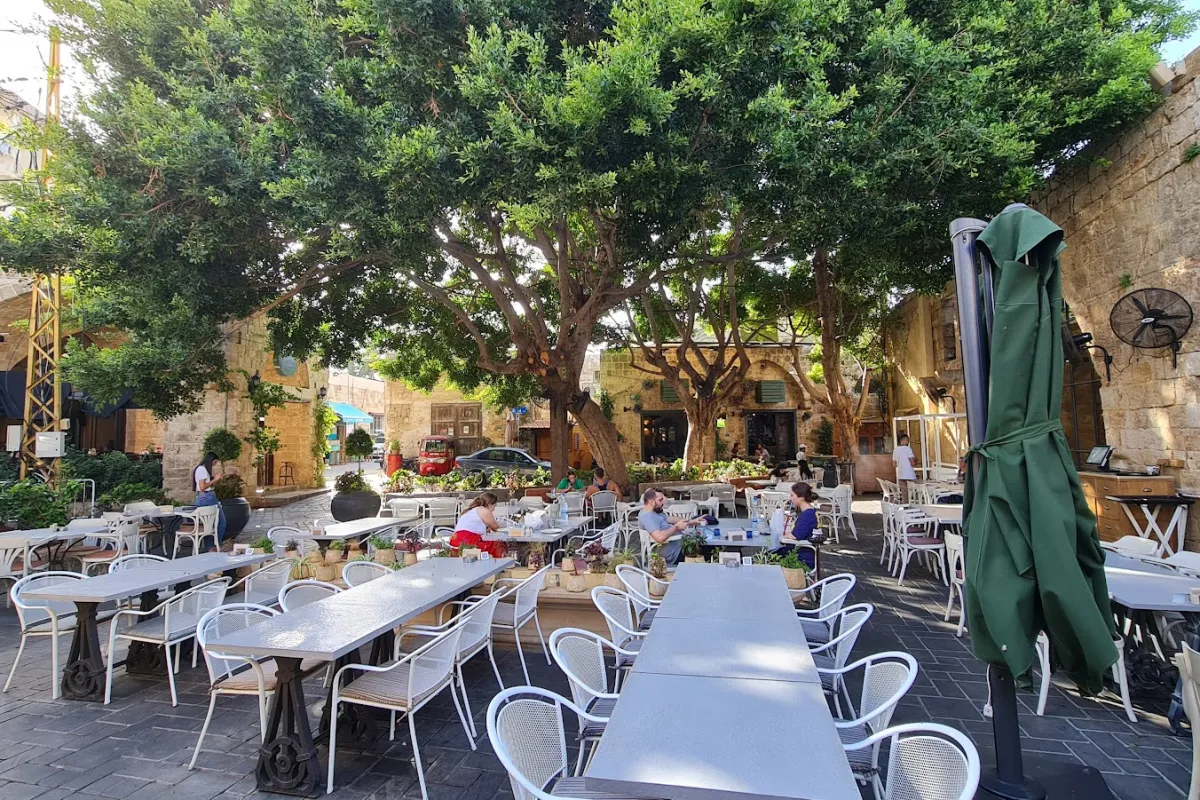 Ahwet Zeitouna Batroun photo 1
