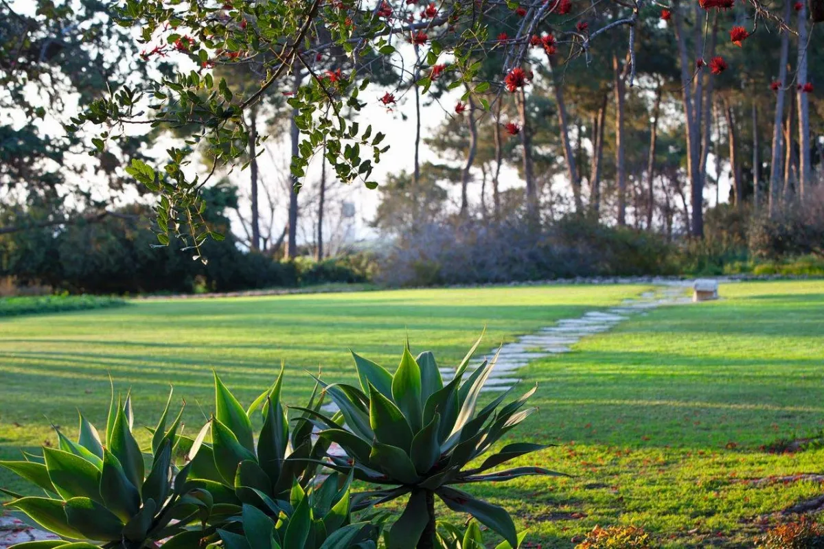 Ramat Hanadiv photo 1