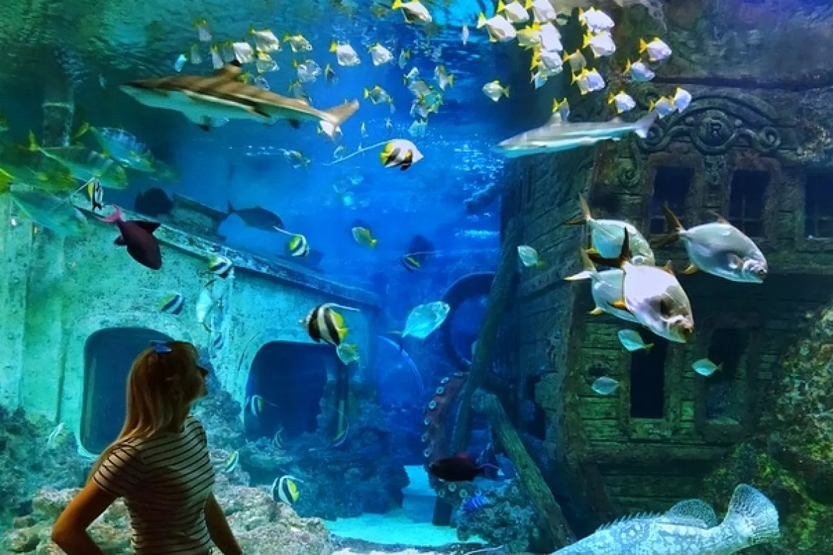 Voronezhskiy Okeanarium photo 1