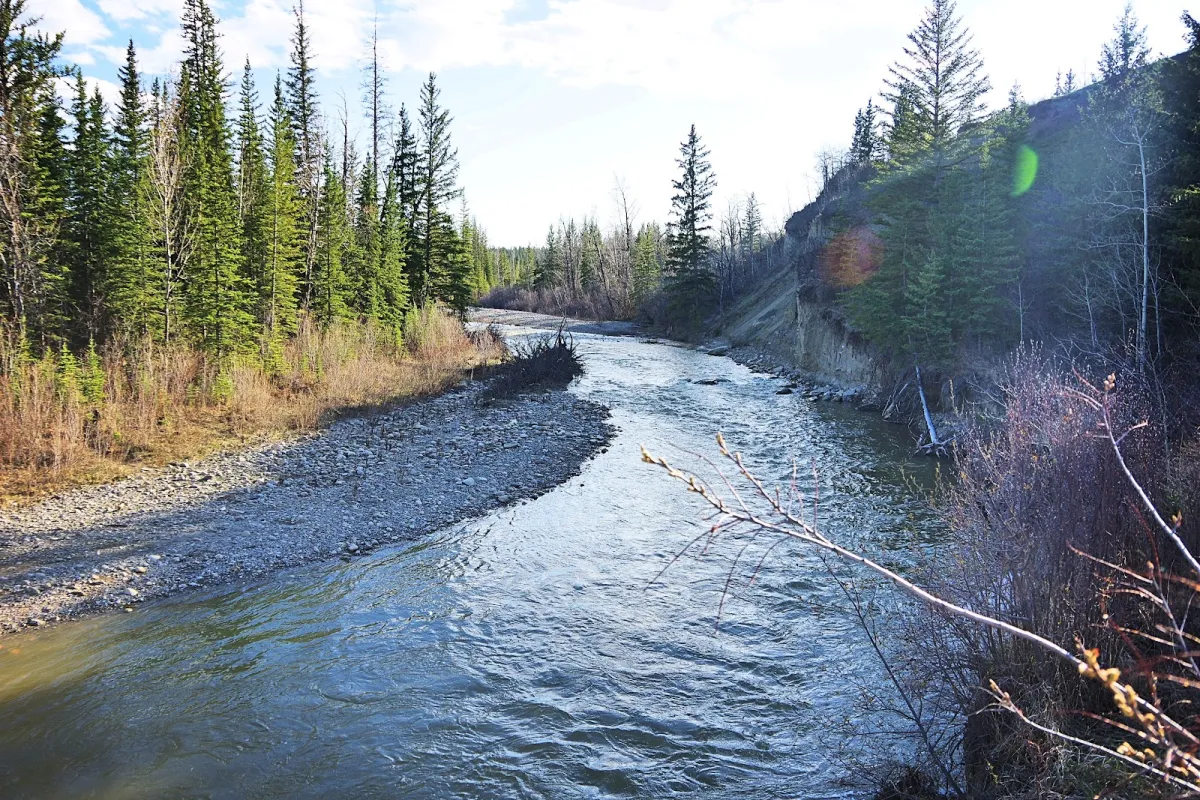 Votier’s Flats - Fish Creek Provincial Park photo 1