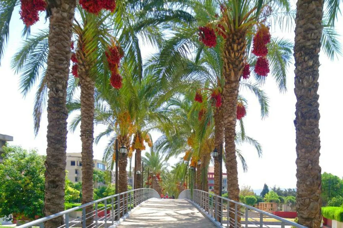 King Fahed Public Park photo 1