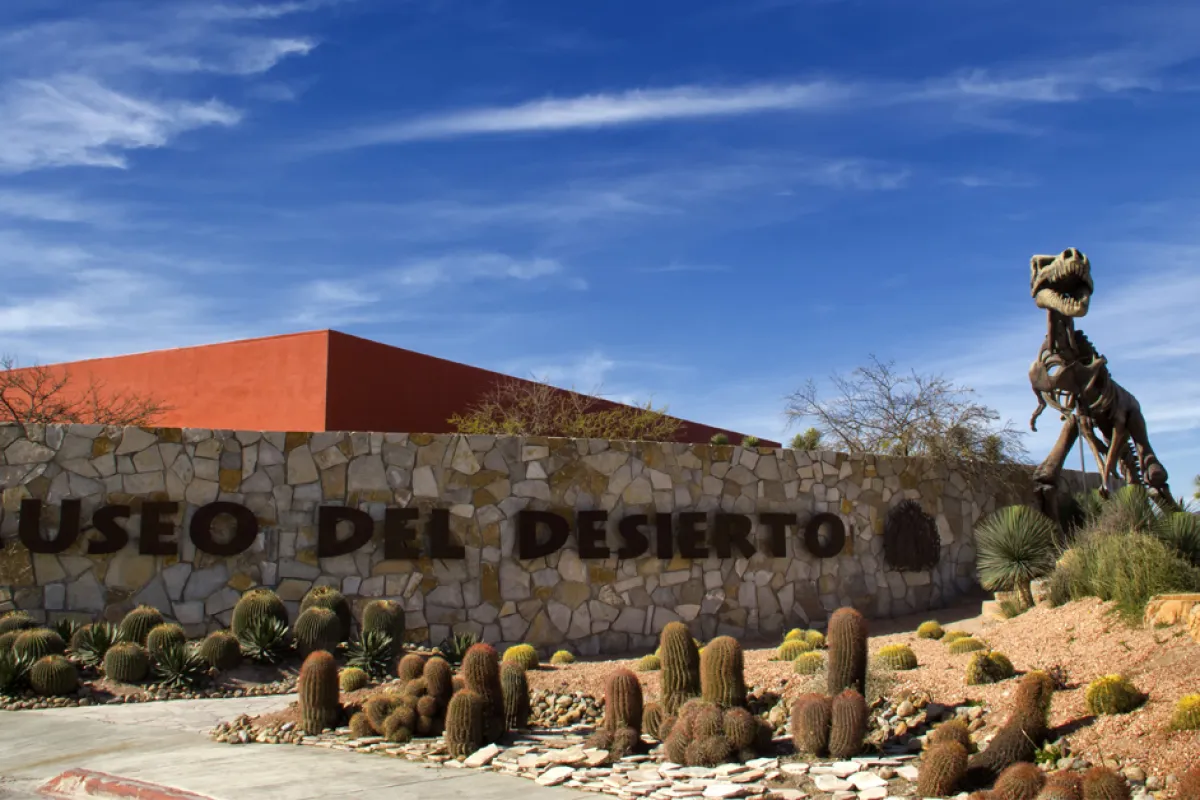 Museo del Desierto photo 1