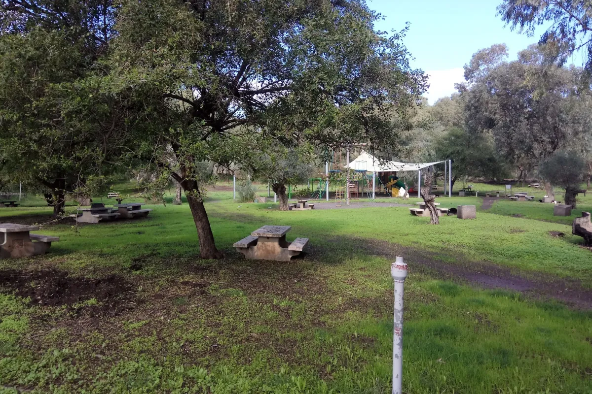 Jordan Park photo 1