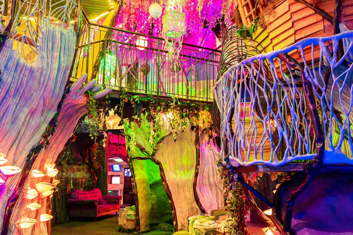 Meow Wolf Santa Fe's House of Eternal Return photo 1