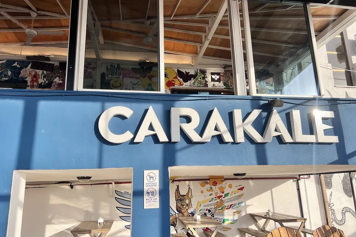 Carakale photo 1