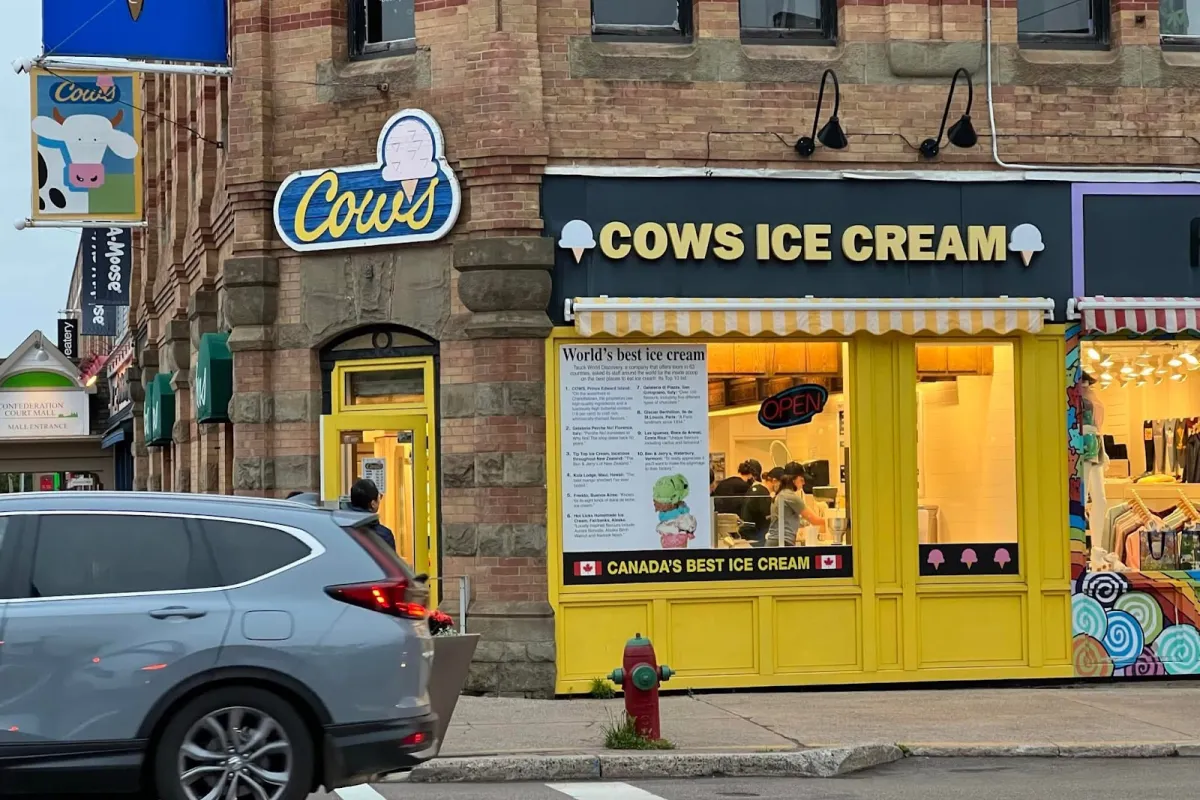 COWS Queen St photo 1