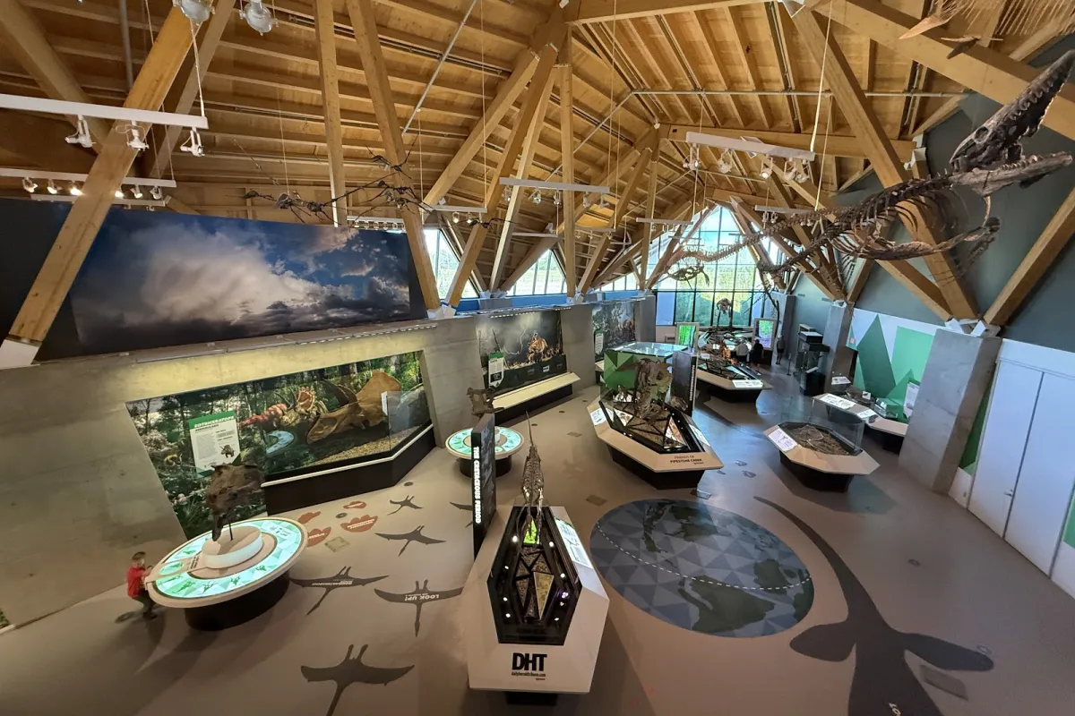 Philip J. Currie Dinosaur Museum photo 1