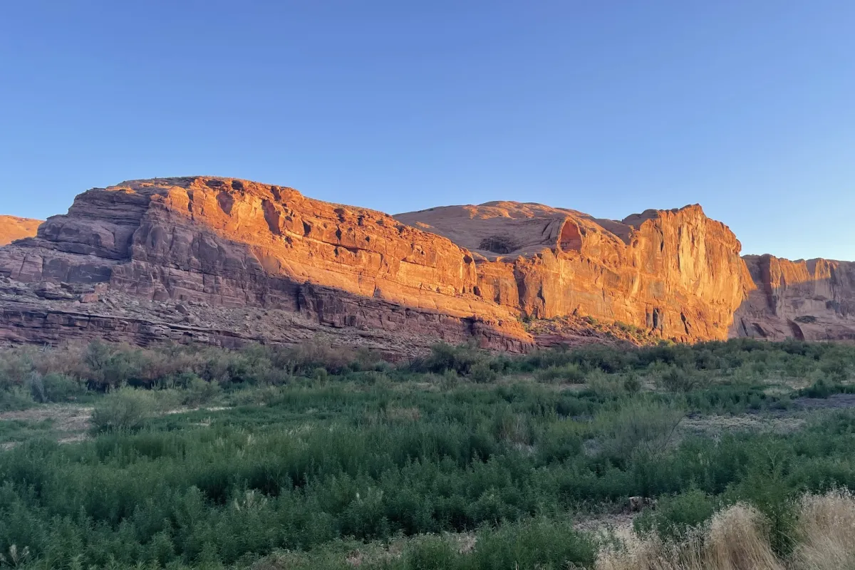 Colorado Riverside Recreation Area photo 1