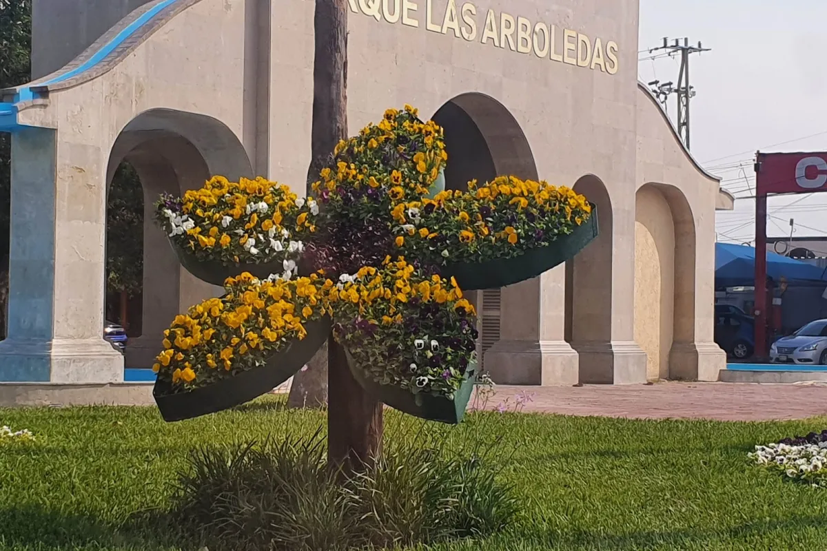 Las Arboledas Park photo 1